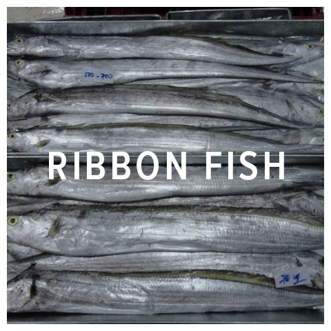 ribbon fish