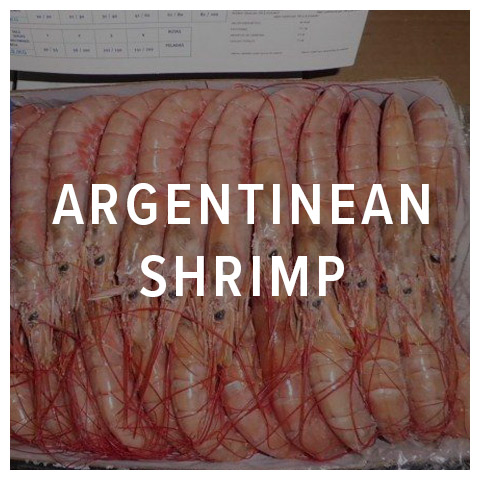 argentinean shrimp