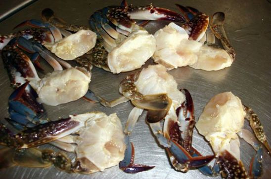 Blue Crabs for sale