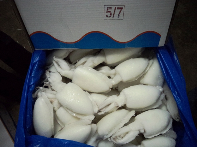 box of frozen Cuttlefish