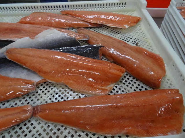 fresh Chum Salmon Fillets
