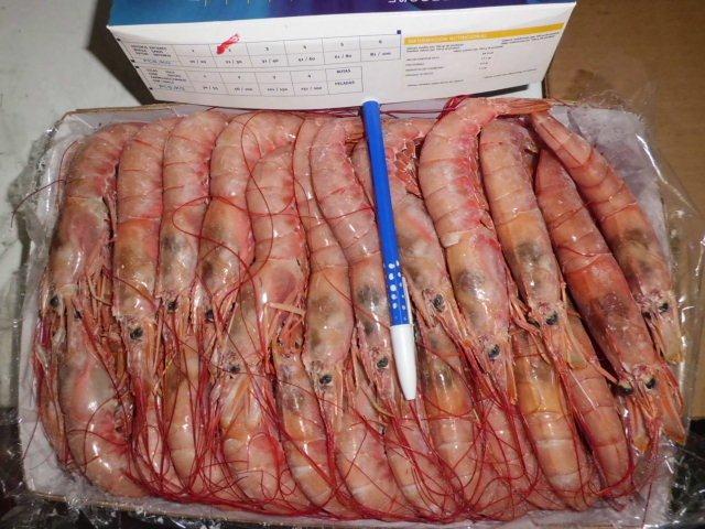 frozen Argentinean Shrimp box