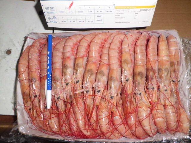 frozen Argentinean Shrimp