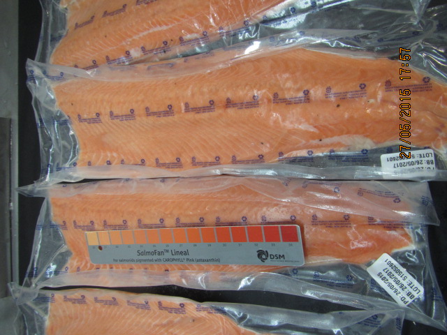 vacuum sealed Atlantic Salmon fillets