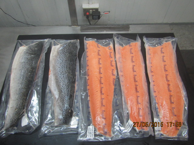 Atlantic Salmon fillets