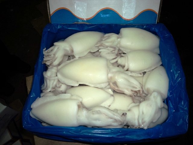 box of frozen Cuttlefish