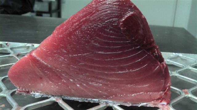 Bluefin Tuna fillet