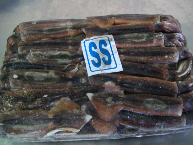 frozen Illex Squid block