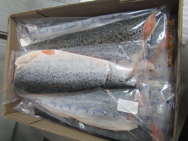 altantic salmon fillet