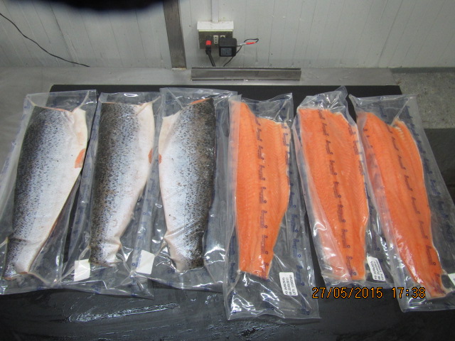 vacuum sealed Atlantic Salmon