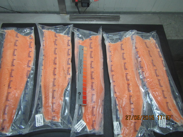 vacuum sealed Atlantic Salmon fillet